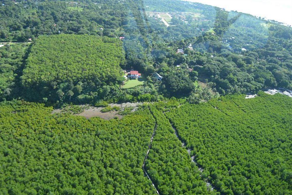 بويرتو برينسيسا By The Bay, Jacana Bed & Breakfast المظهر الخارجي الصورة
